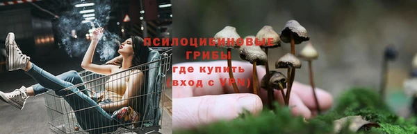 тгк Киров