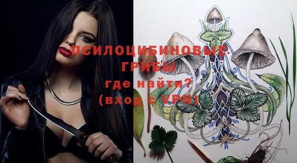 apvp Ижевск