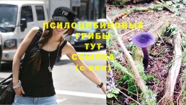 дурь Тольятти