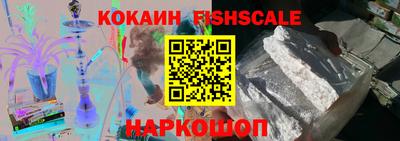 индика Гагарин