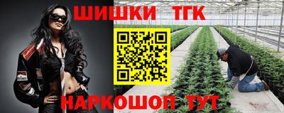 стаф Малоярославец