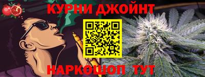 индика Гагарин