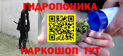 индика Гагарин