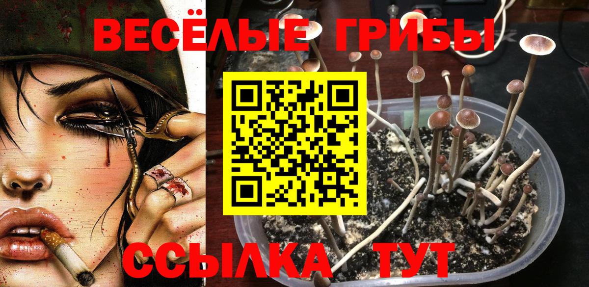 Галлюциногенные грибы Magic Shrooms Анжеро-Судженск