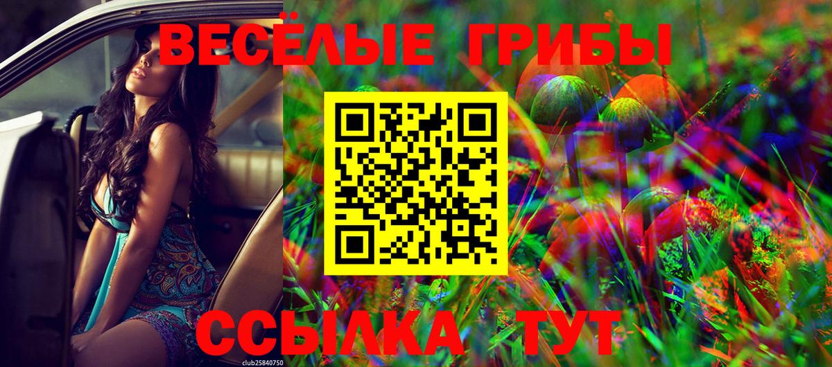 наркотики  Вход с VPN  Галлюциногенные грибы мухоморы  Анжеро-Судженск  Галлюциногенные грибы прущие грибы 
