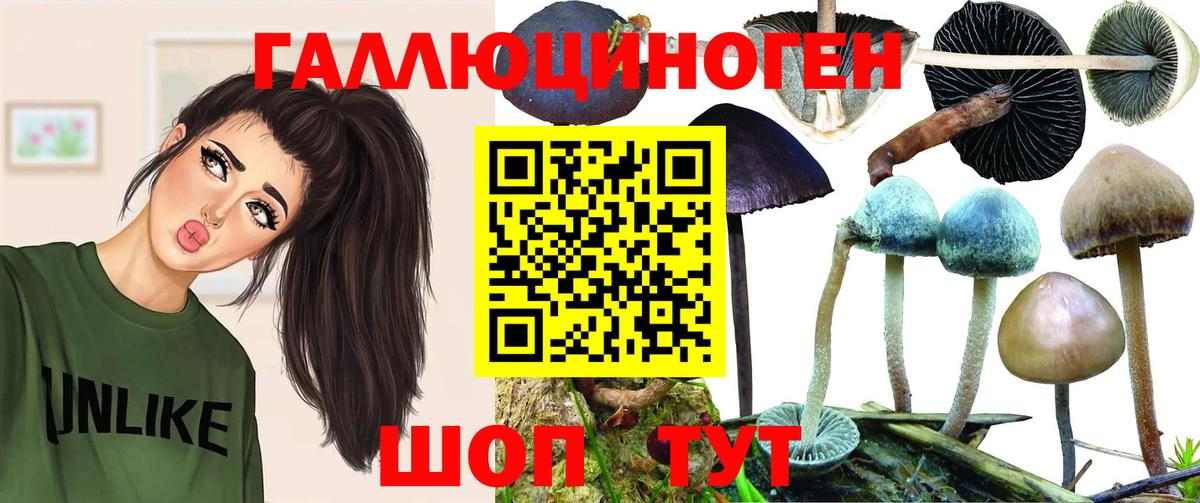 Псилоцибиновые грибы GOLDEN TEACHER Анжеро-Судженск